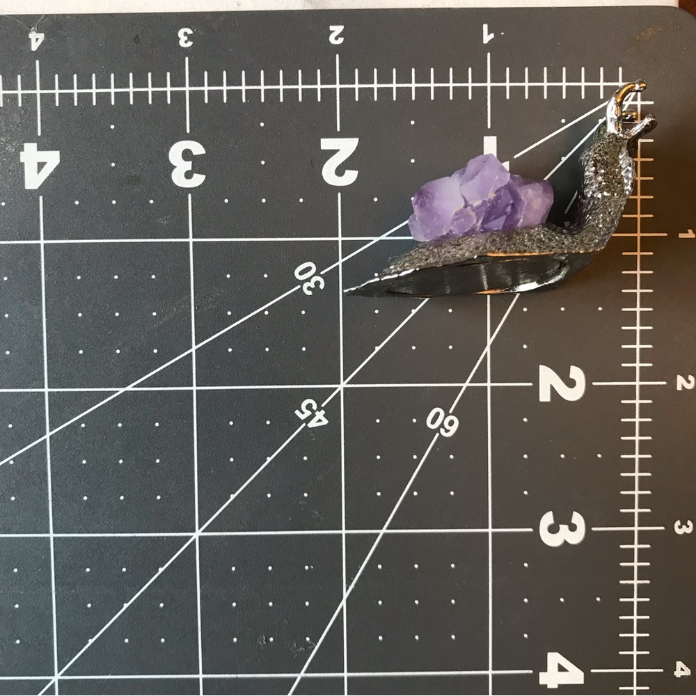 Amethyst Snail - Picture 5 of 7